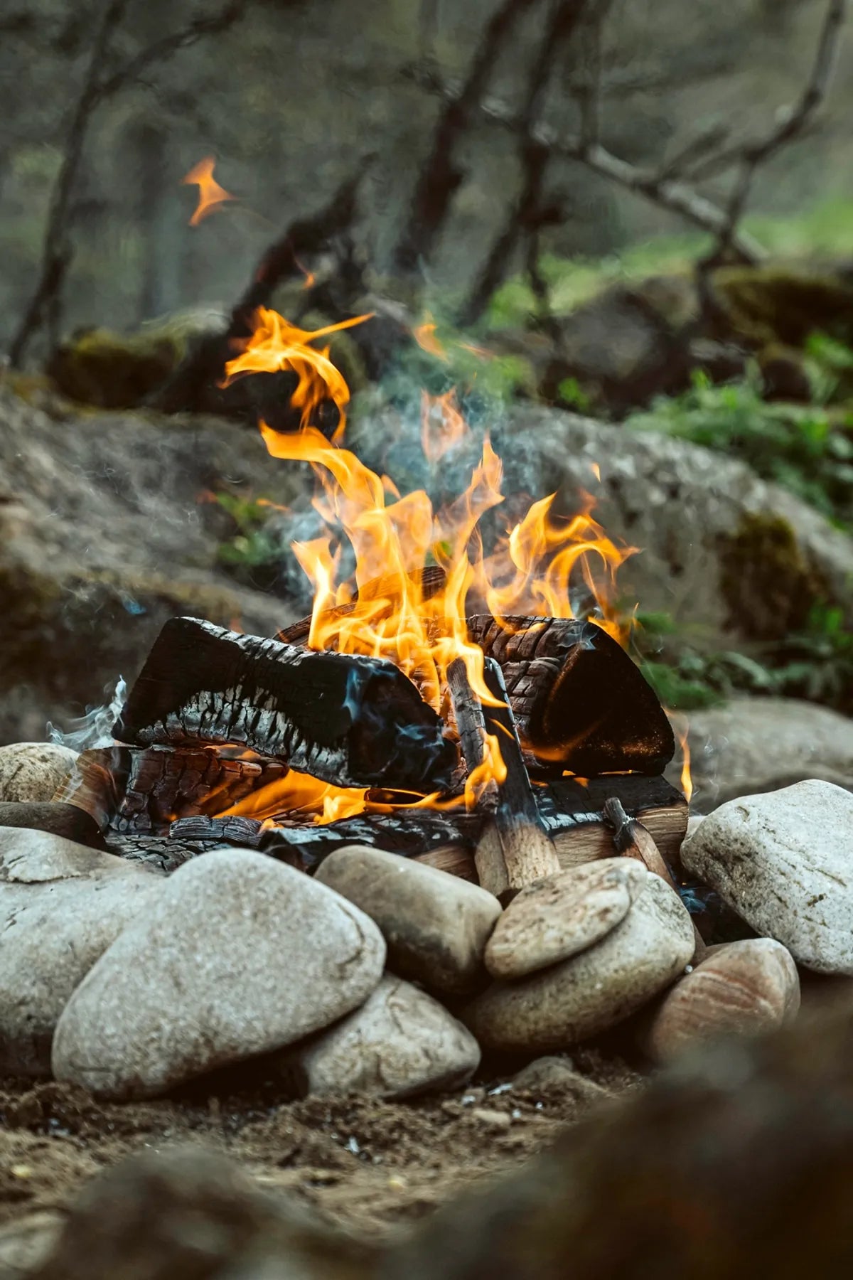 Outdoor Cooking